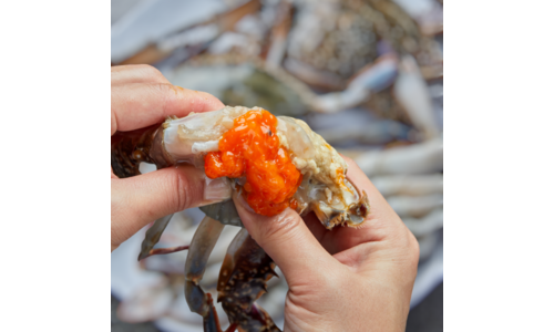 꽃게 기똥찬제안! 사용자추천 상품 한 눈에 보기