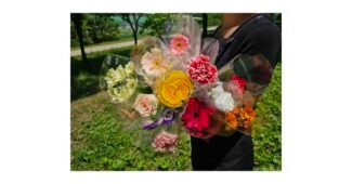 거베라 홈쇼핑 품절대란! 순위 베스트