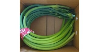 마늘쫑 나만 빼고 다 알고 있는 보물같은 상품 찾기