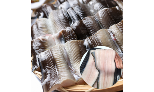 바다장어 합리적인 당신을 위한 비교 한눈에 보기