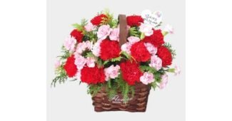 카네이션꽃다발어버이날개업화분 일단 한번 확인해요! 이번주 추천상품 한눈에 보기