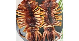 반건조오징어 스마트한 당신을 위한 마음에 드는 한눈에 보기