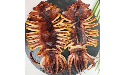 반건조오징어 스마트한 당신을 위한 마음에 드는 한눈에 보기