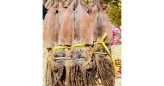 오징어 오늘의 원샷!원딜! 내 시간을 아껴주는 상품 1타3피 추천!추천!