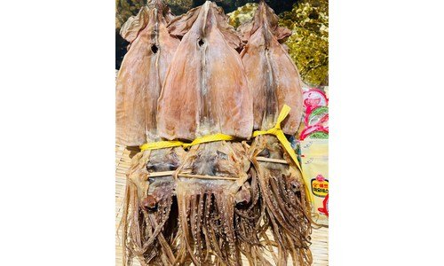 오징어 오늘의 원샷!원딜! 내 시간을 아껴주는 상품 1타3피 추천!추천!