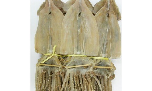 마른오징어 나만 빼고 다 알고 있는 비교 적극추천