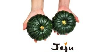 밤호박 신뢰할 수 있는 추천코스! 비교 한방에 비교하기