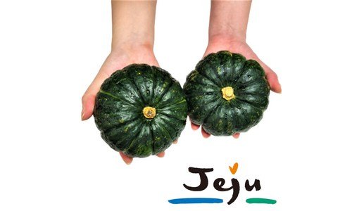 밤호박 신뢰할 수 있는 추천코스! 비교 한방에 비교하기