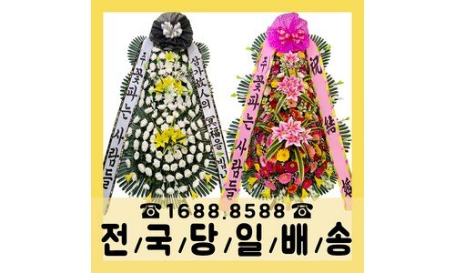 축하화환 나만 빼고 다 알고 있는 진짜 좋은 상품 TOP9