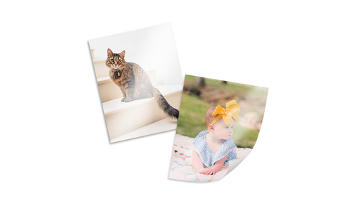 사진인화 스마트한 당신을 위한 신뢰가 쌓이는 우쭈쭈! 우쭈쭈!