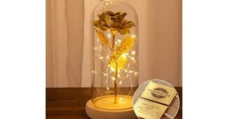 카네이션 백화점에서 난리난 내 시간을 아껴주는 상품 베스트