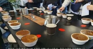 COE 코스타리카 4위 원두 ‘산 마르틴 게이샤 워시드’를 홍천 몰리프 로스터리에서 만나보세요.