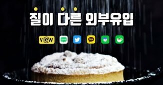 내 티스토리 블로그 외부유입 해도 되는 상태일까? (카카오뷰, 지식인, 네이버 카페)
