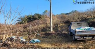 [매화농부일기] 한 송이 매화를 피우기까지 12월에도 농심은 타 들어가 비지땀으로 흘려보내고 나서야 2월의 설중매가 됩니다.