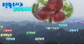 보은황토사과 컨설팅