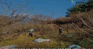 청년들의 농업기피현상, 대책은 없는가?