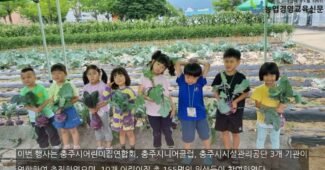 충주시니어클럽, “도심속 에코 그린팜 – 콜라비 수확체험”운영